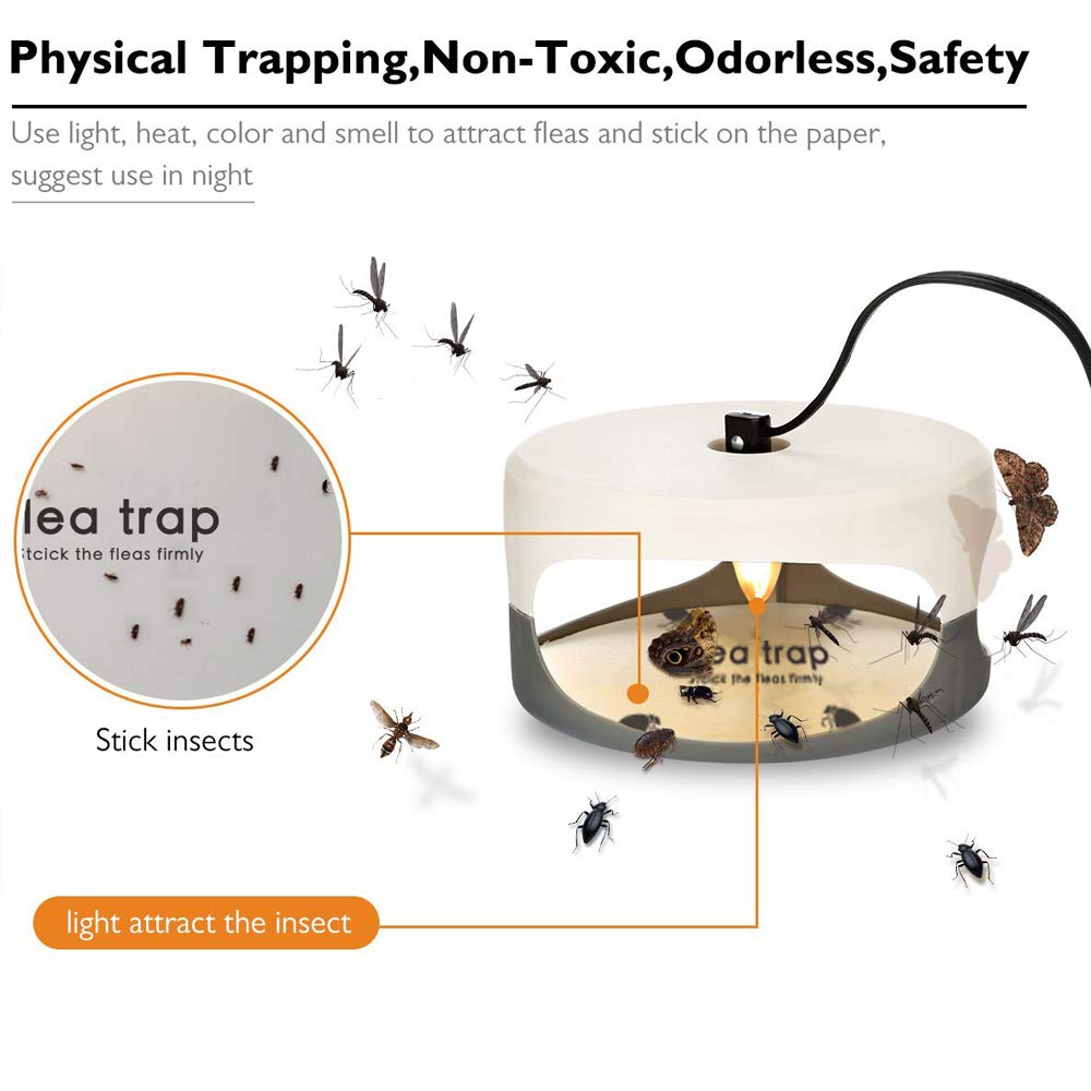 Close-up of Micnaron Flea Trap refill adhesive surface