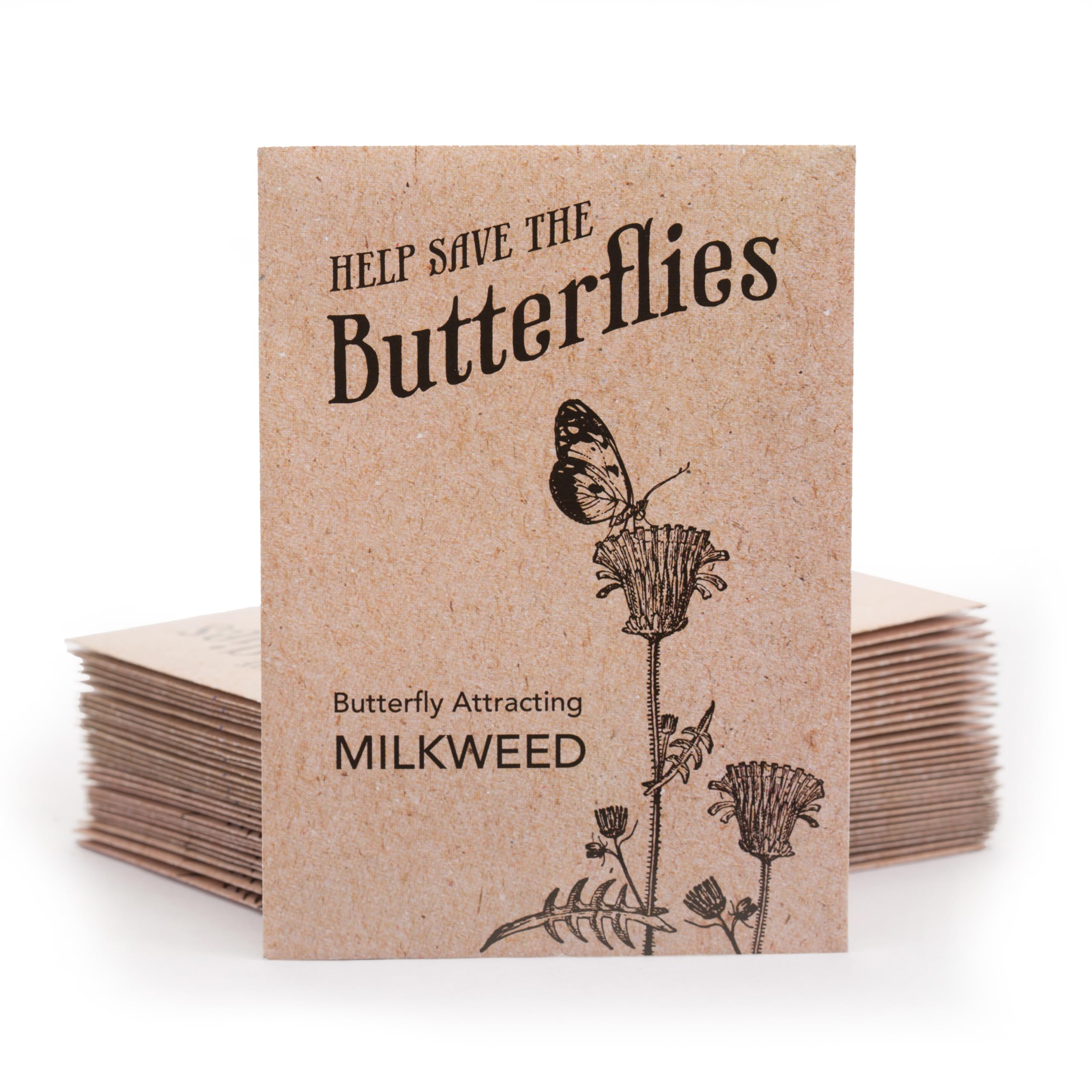 Close-up of milkweed seeds by Bentley Seed Co.