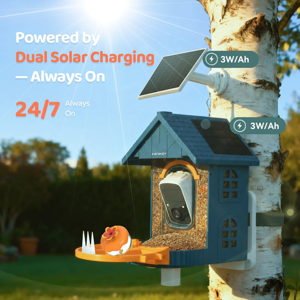 Close-up of Minikey Smart Bird Feeder solar panels