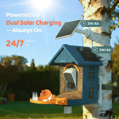 Close-up of Minikey Smart Bird Feeder solar panels