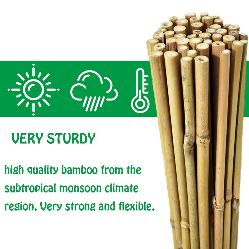 Close-up of Mininfa bamboo stake showing natural finish