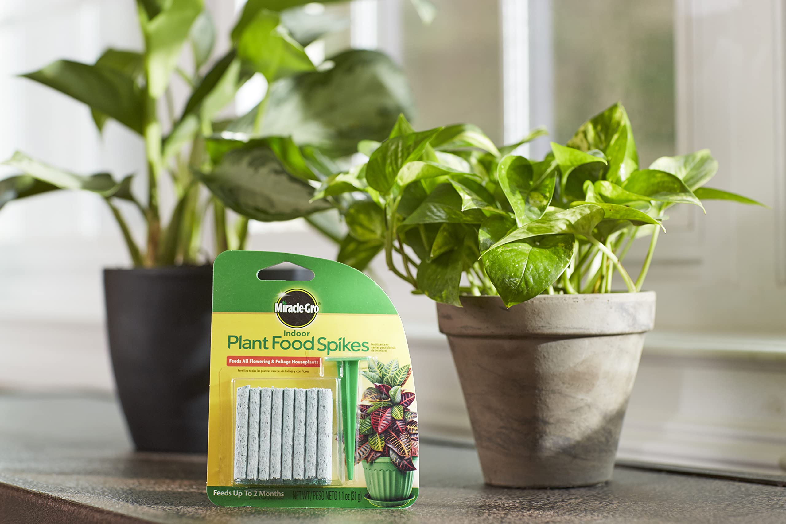 Close-up of Miracle-Gro Indoor Plant Food Spike sticks