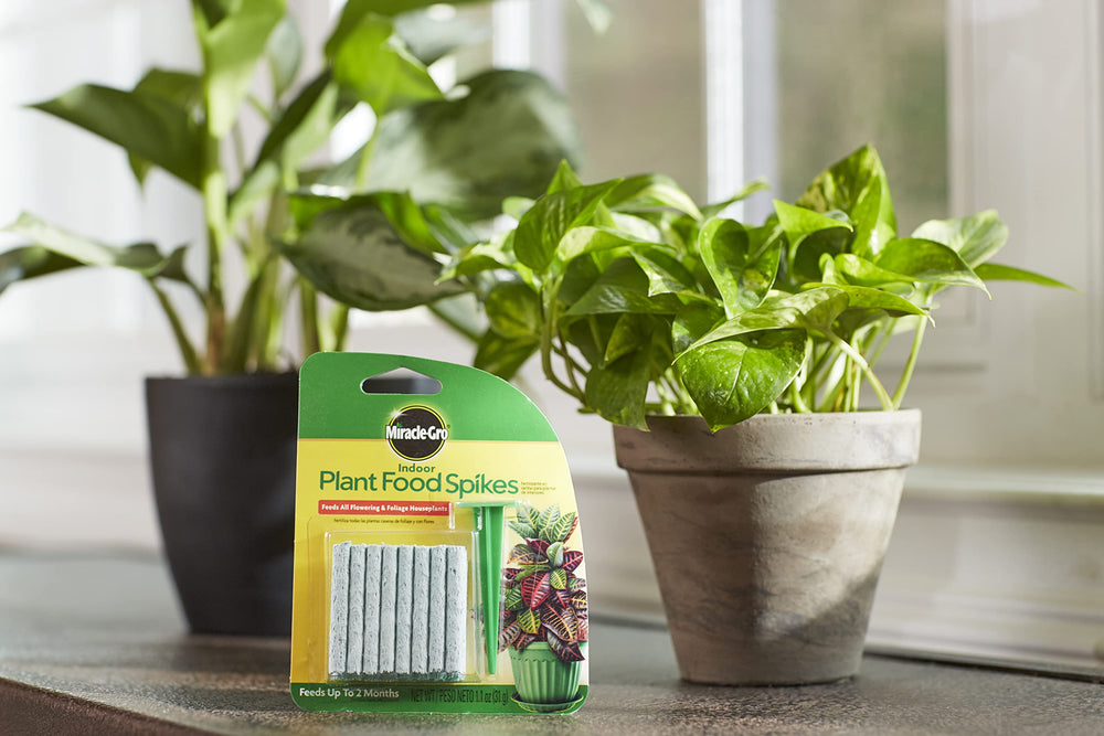 Close-up of Miracle-Gro Indoor Plant Food Spike sticks