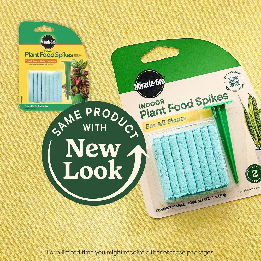Close-up of Miracle-Gro Indoor Plant Food Spikes showing individual sticks