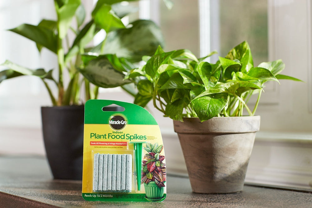 Close-up of Miracle-Gro Indoor Plant Food Spikes with instructions