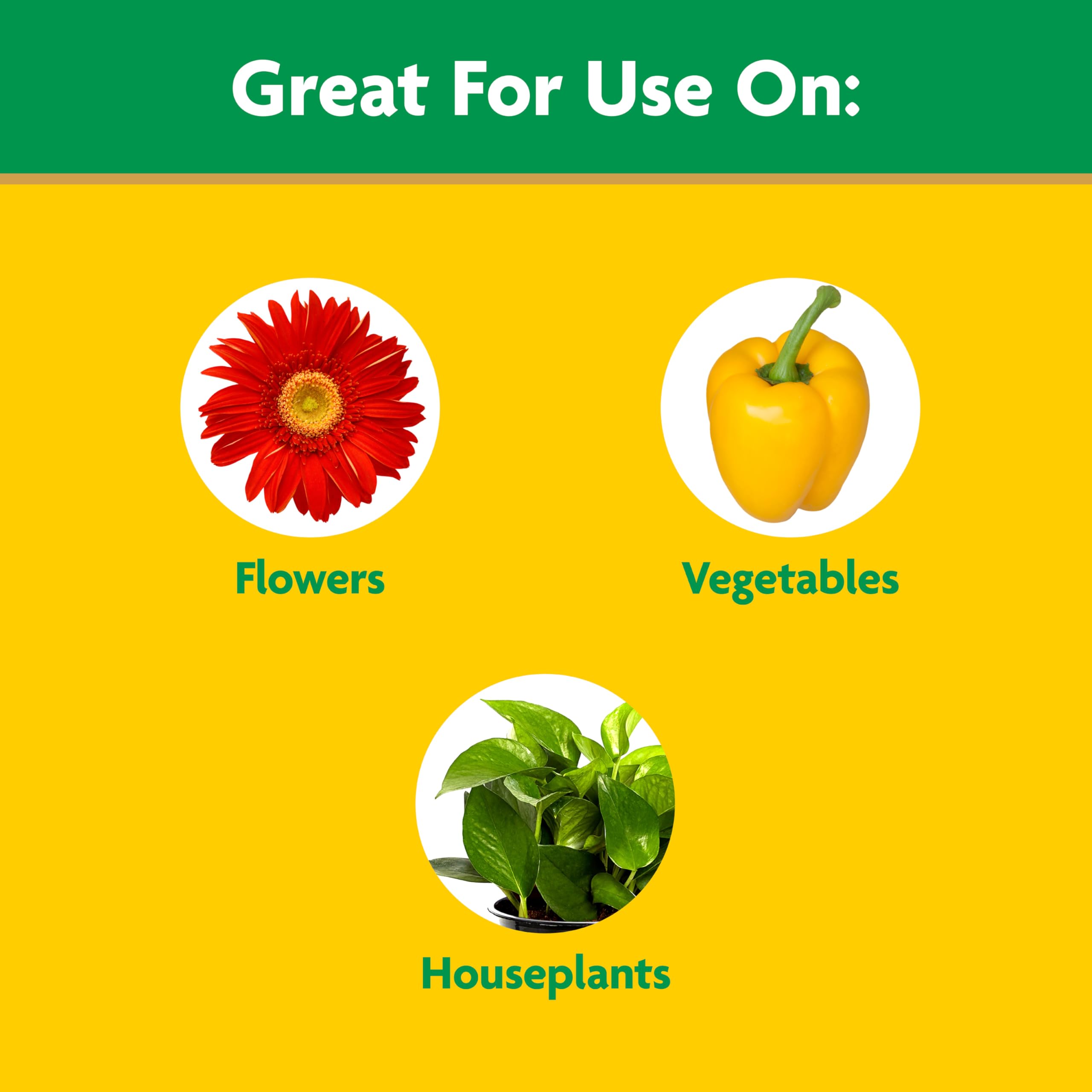 Close-up of Miracle-Gro Liquid All Purpose Plant Food concentrate
