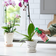 Close-up of Miracle-Gro Orchid Plant Food Mist nozzle