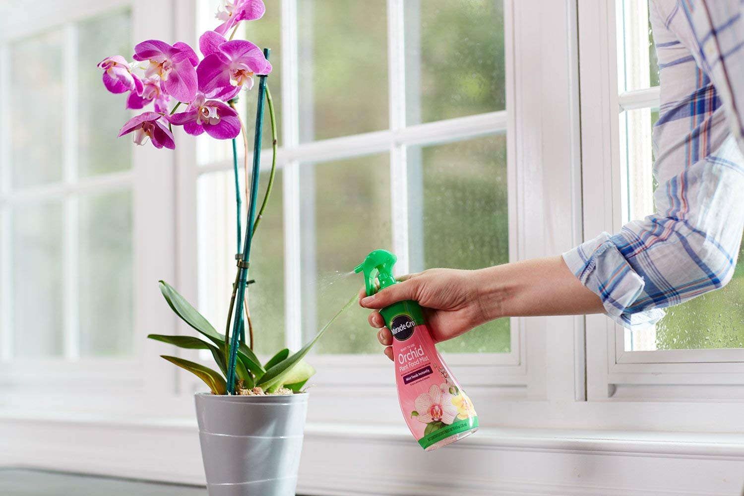 Close-up of Miracle-Gro Orchid Plant Food Mist spray nozzle