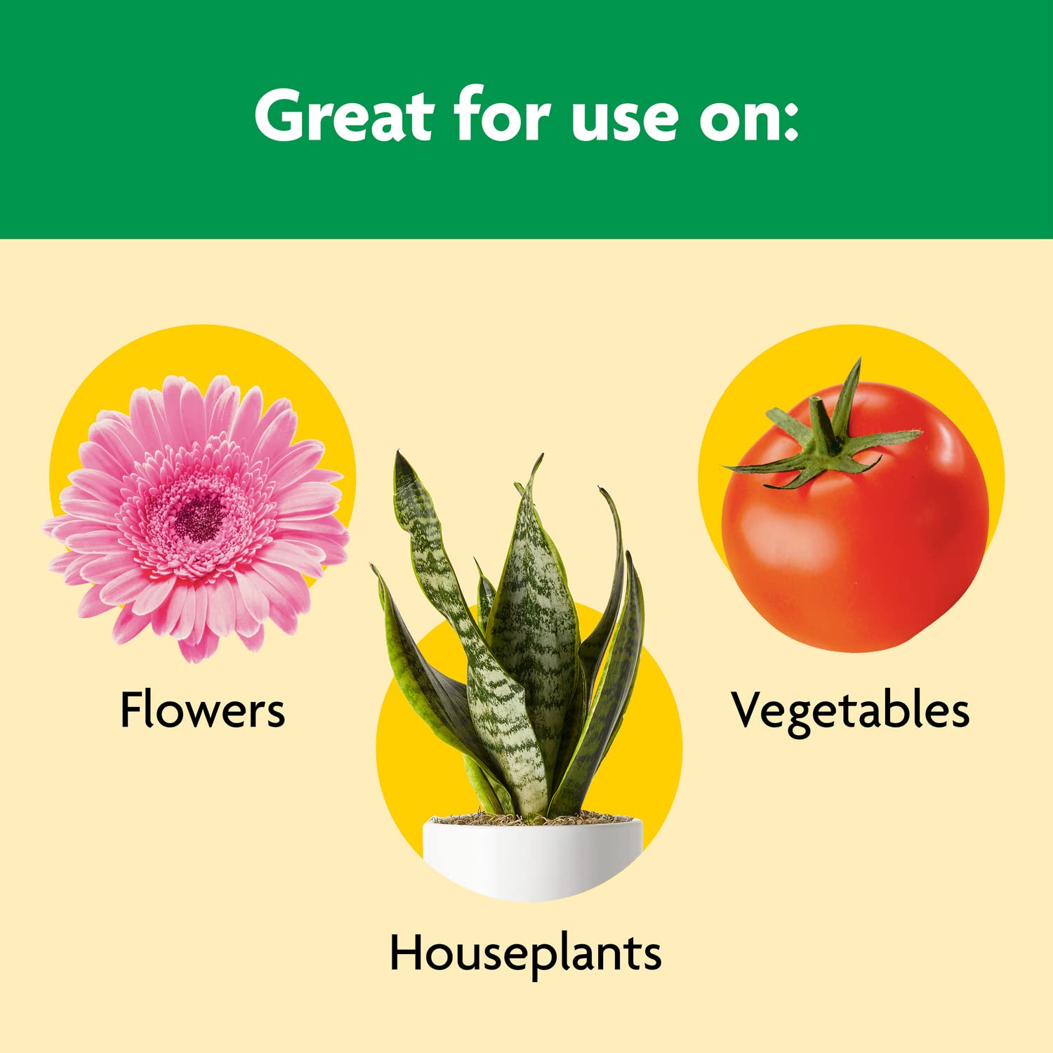 Close-up of Miracle-Gro Shake 'N Feed granules