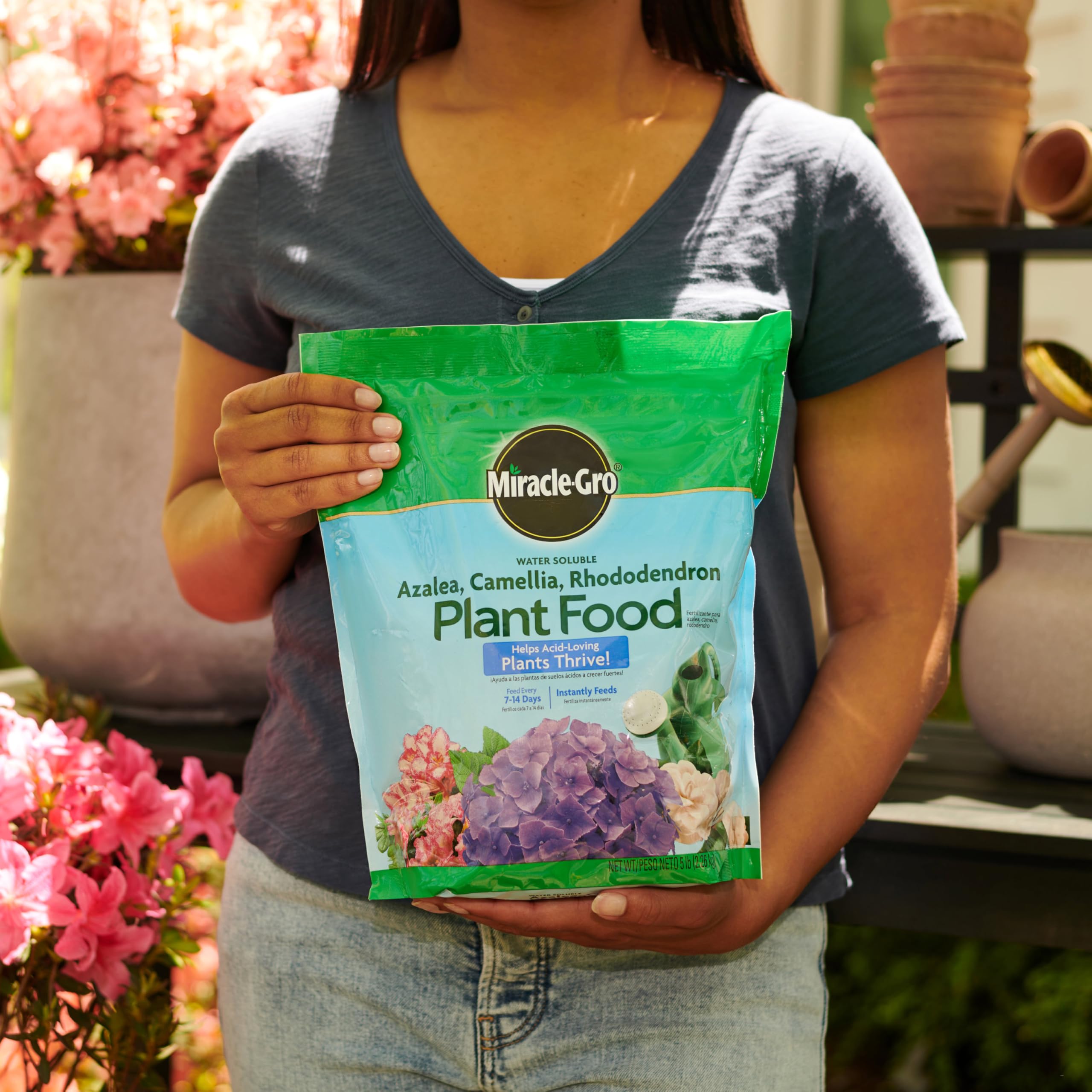 Close-up of Miracle-Gro Water Soluble Azalea Plant Food powder