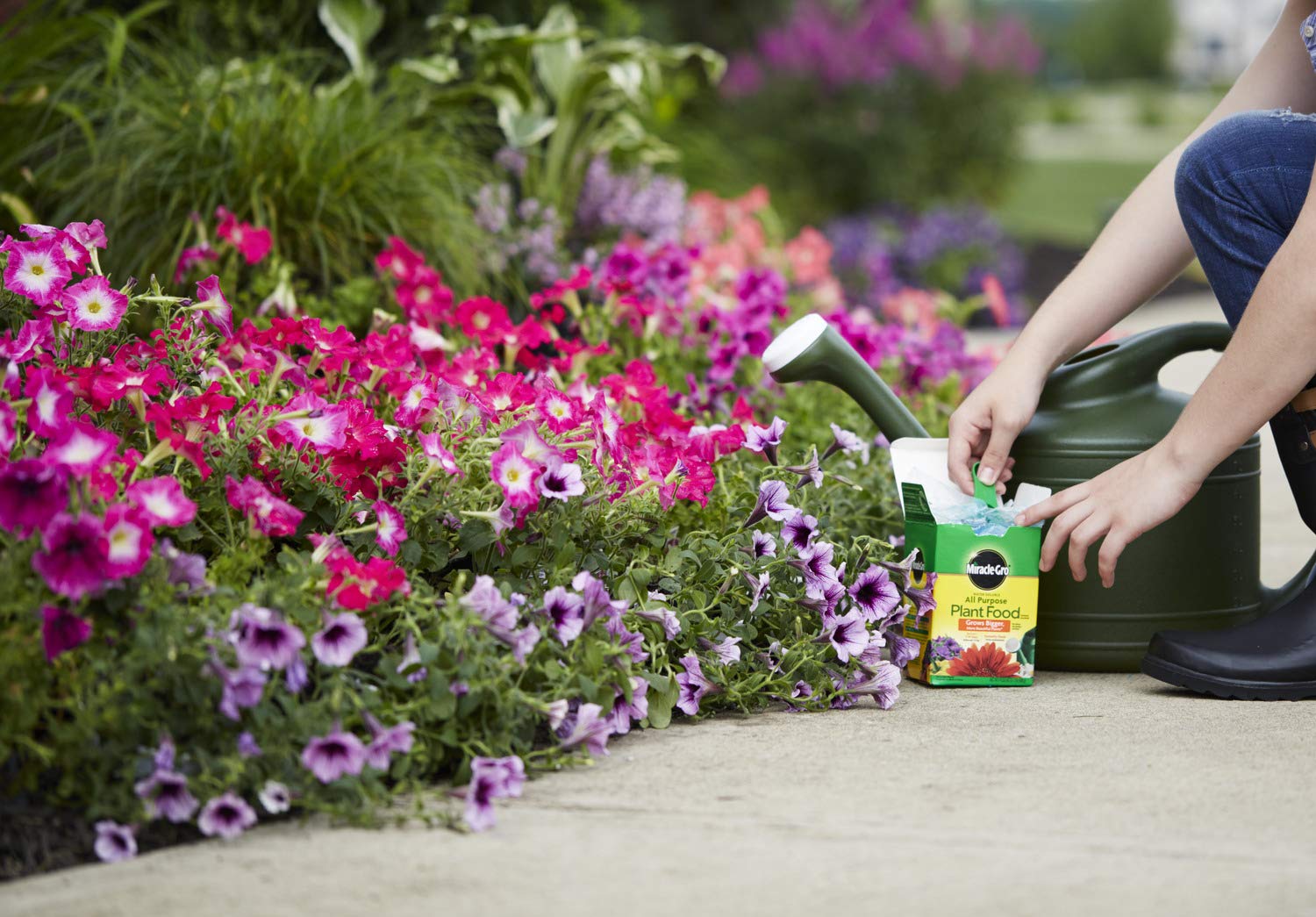 Close-up of Miracle-Gro Water Soluble Plant Food powder