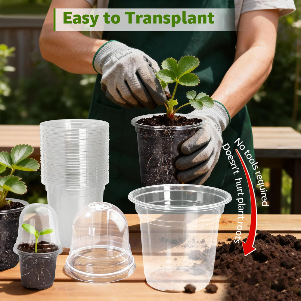 Close-up of MIXC Clear Nursery Pot drainage holes