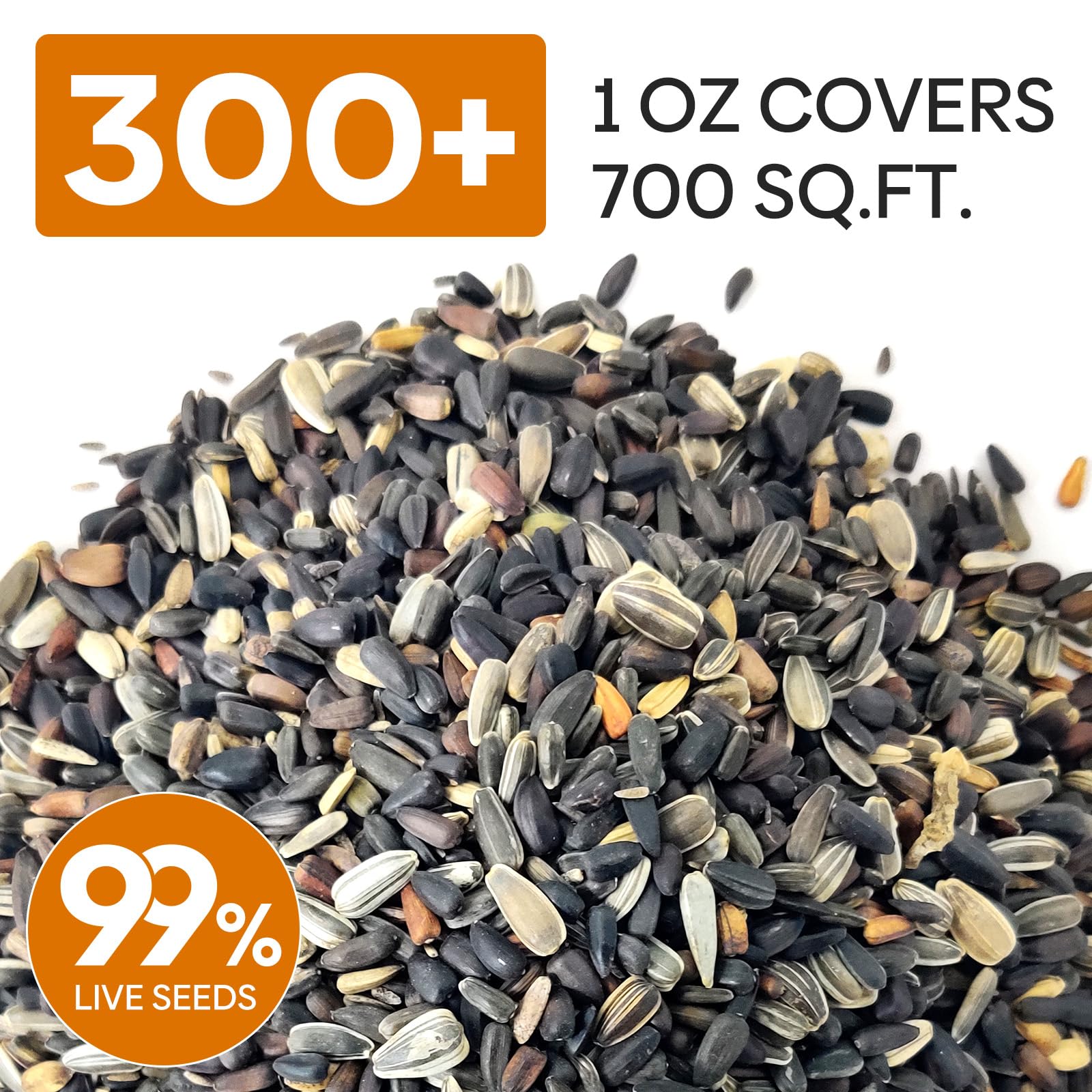 Close-up of mixed sunflower seeds from Groundio