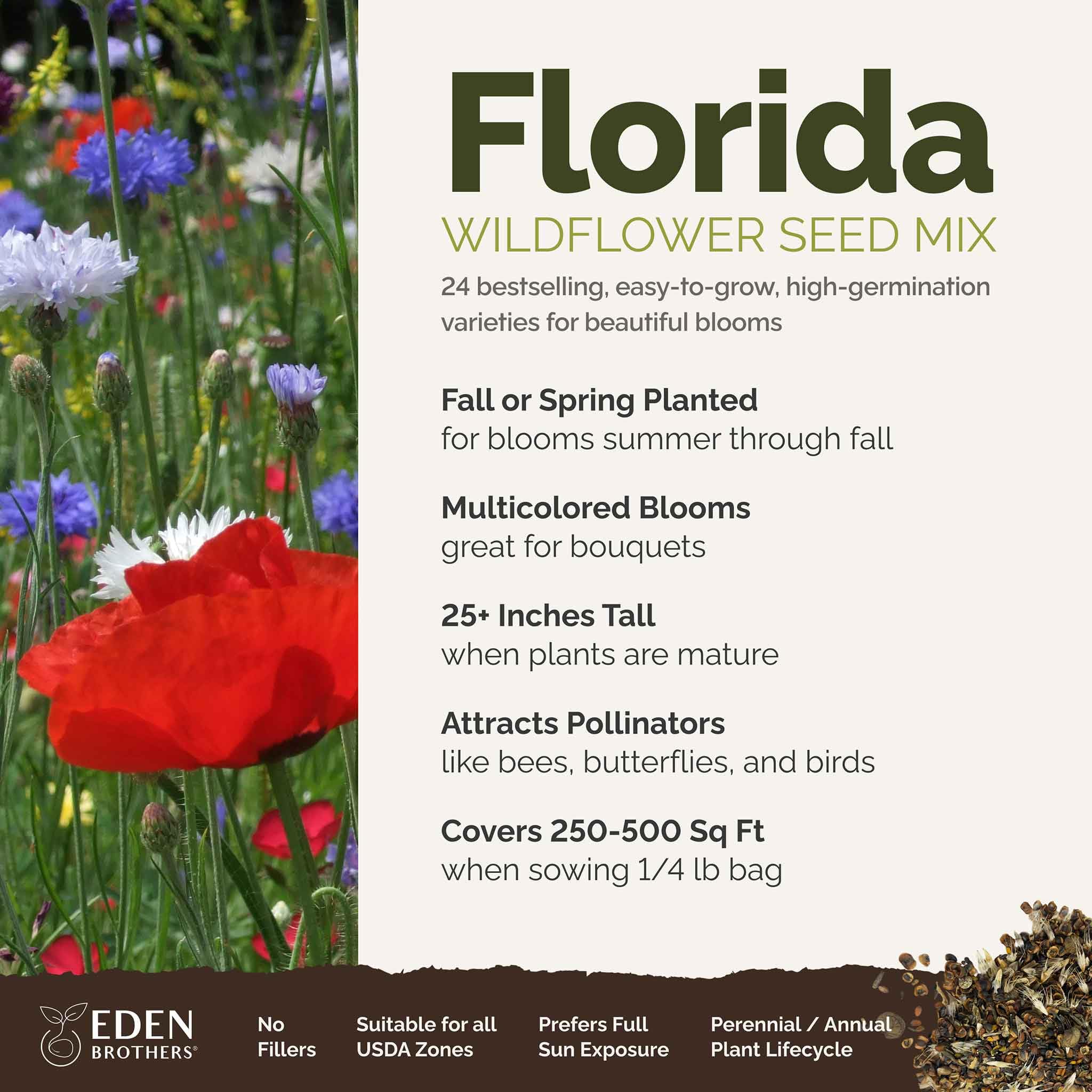 Close-up of mixed wildflower seeds from Eden Brothers