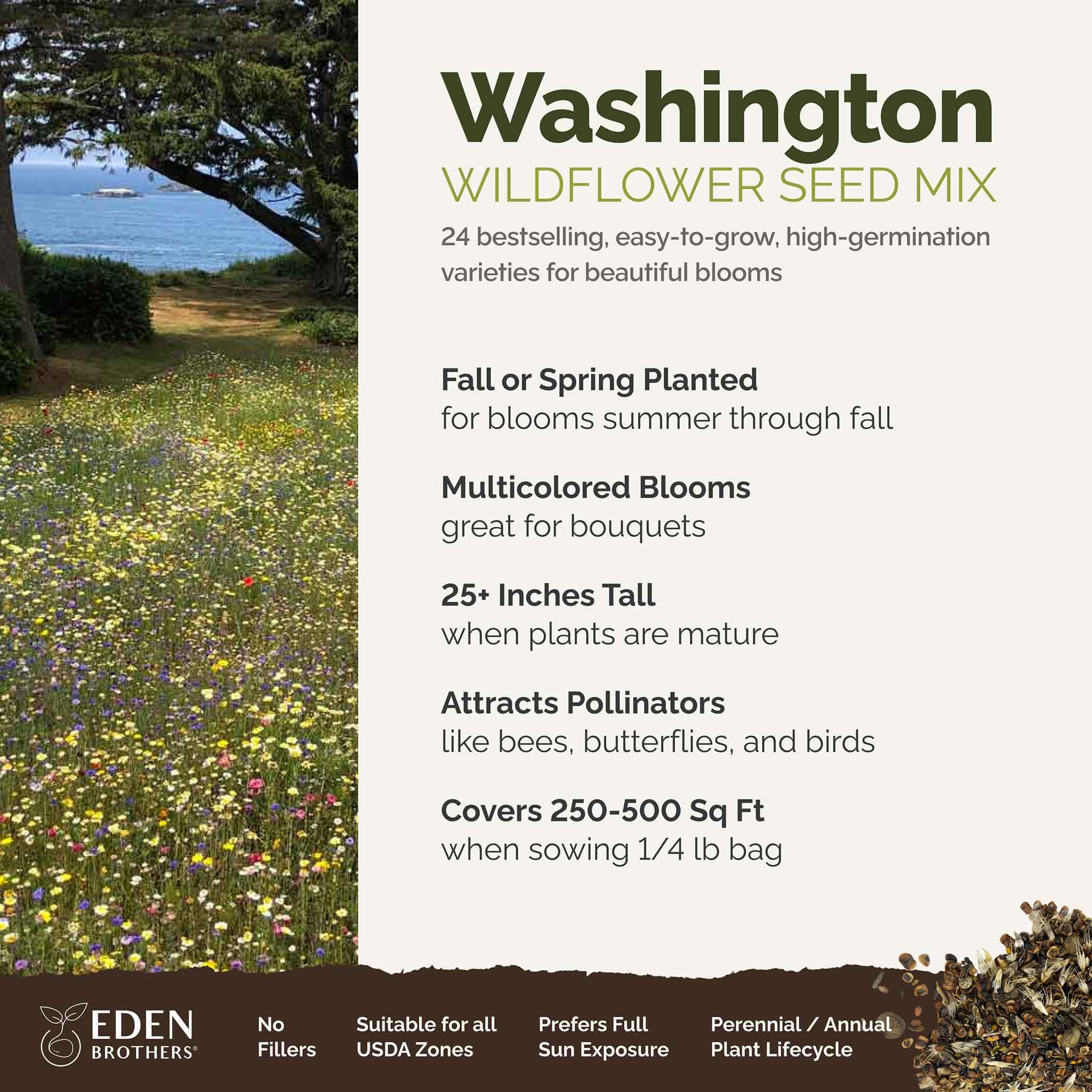 Close-up of mixed wildflower seeds in packaging