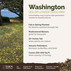 Close-up of mixed wildflower seeds in packaging