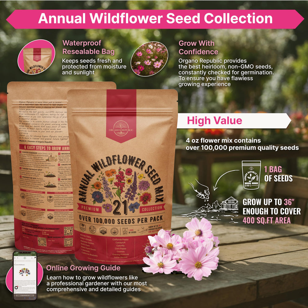 Close-up of mixed wildflower seeds in packet