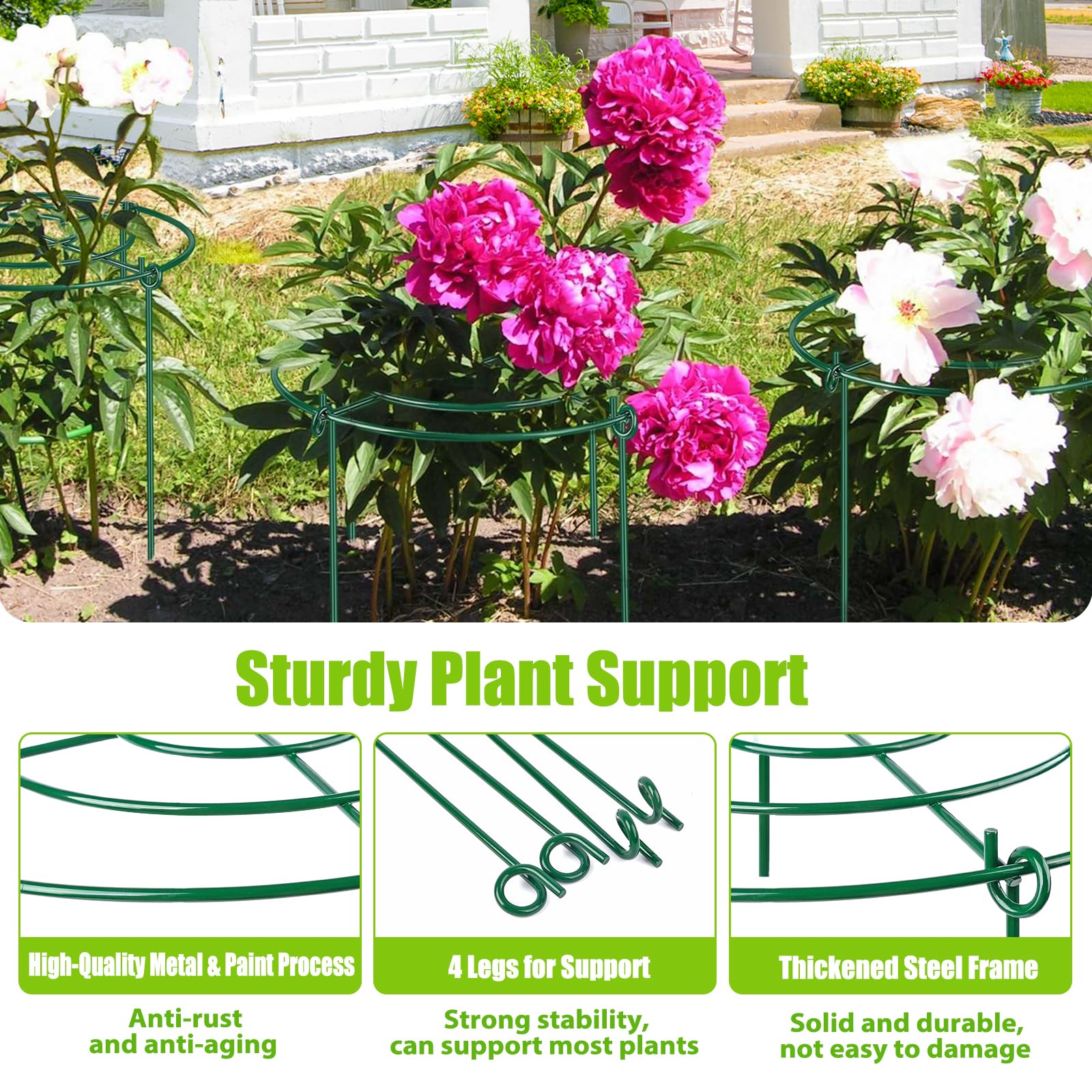 Close-up of MJZ Peony Cages showing 4 leg supports