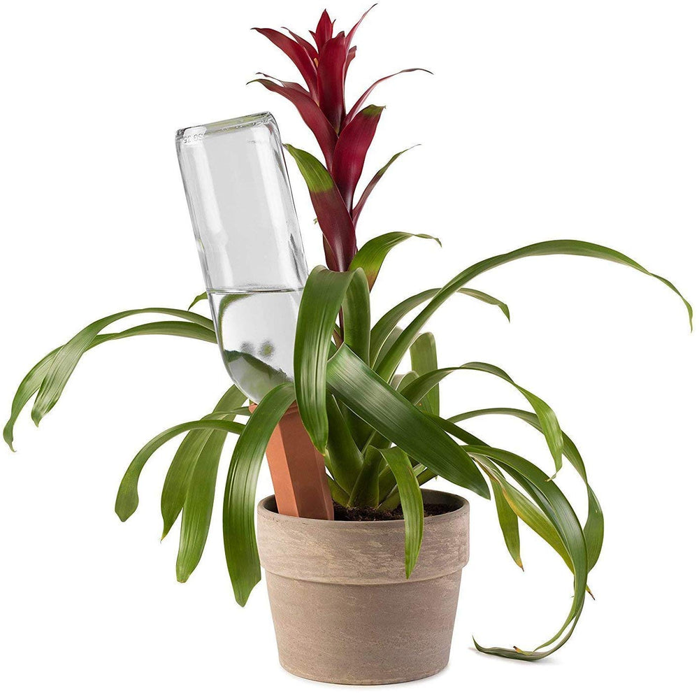 Close-up of Modern Innovations terracotta self-watering spike