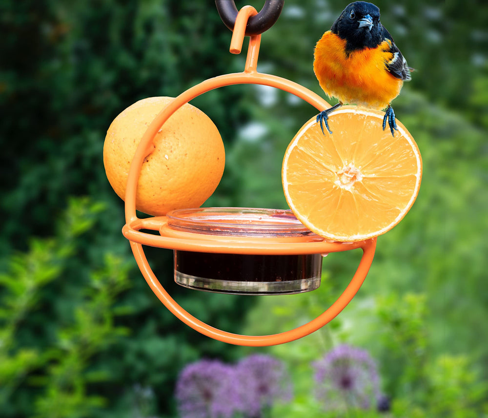 Close-up of Monarch Abode Hanging Bird Feeder tray and perch