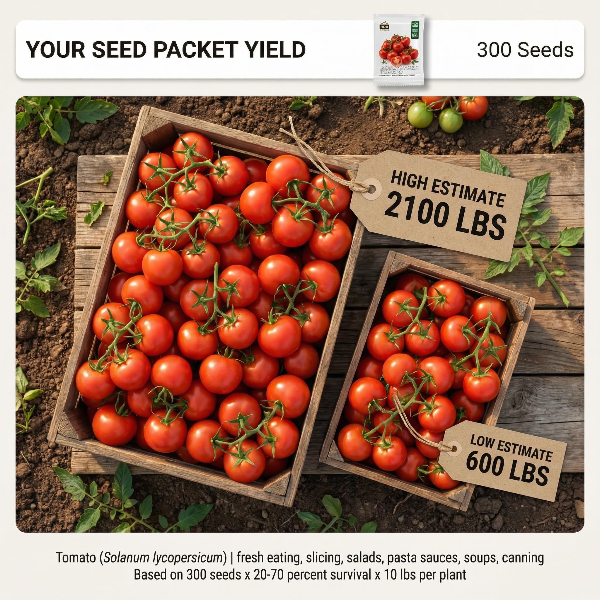 Close-up of Moneymaker Tomato seeds in packet