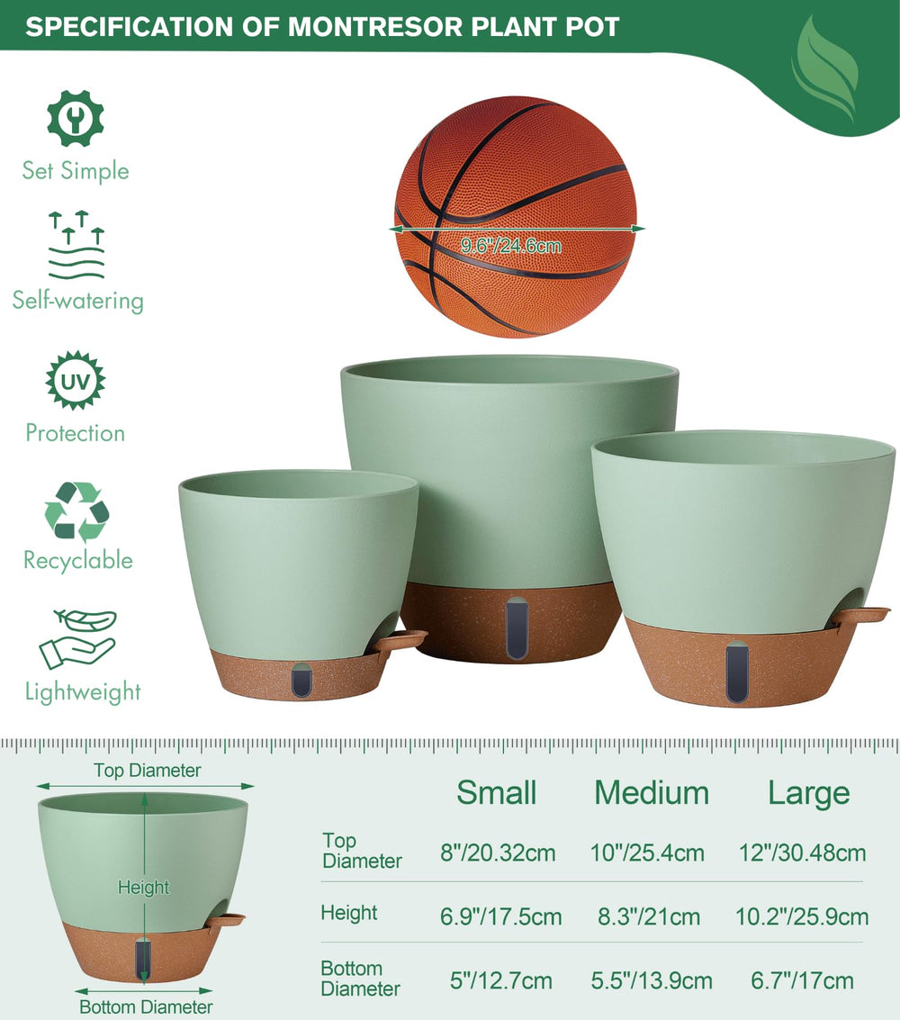 Close-up of Montresor Self-Watering System with Cotton Wick