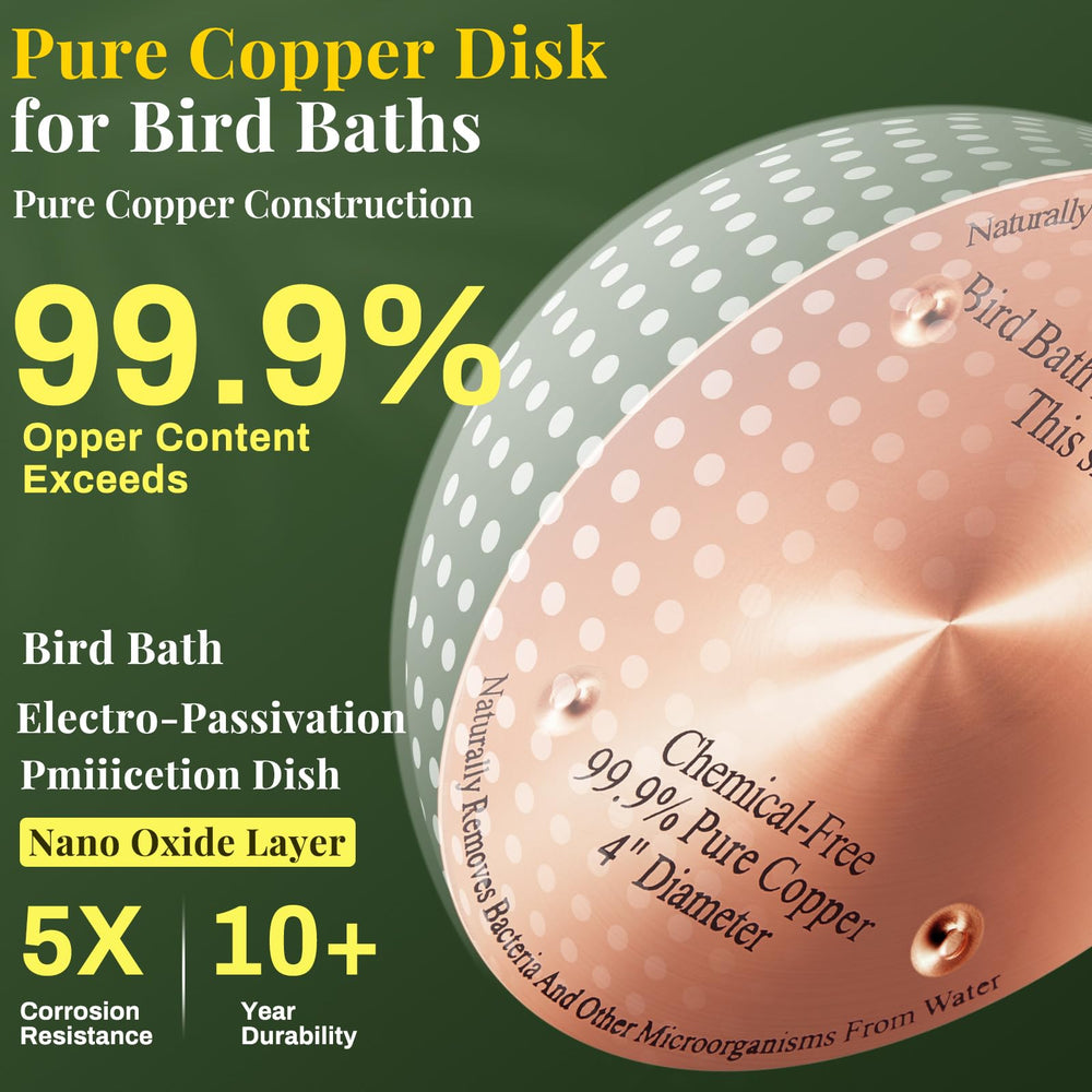 Close-up of MorningRo copper bird bath disc design