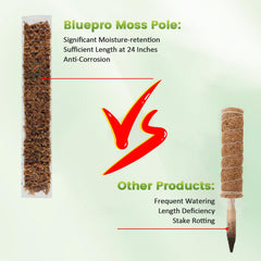 Close-up of moss pole showing grid for aerial roots