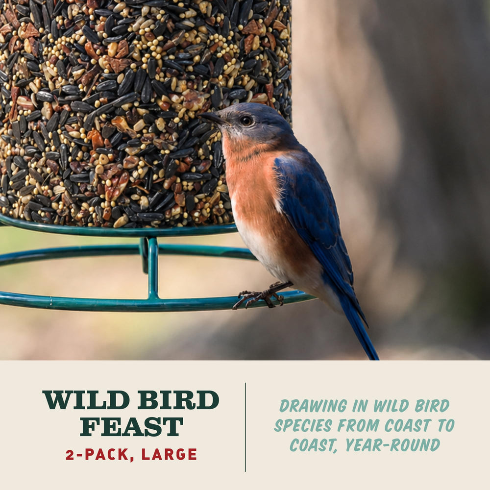 Close-up of Mr. Bird WildBird Feast Cylinder ingredients including pecans and sunflower hearts