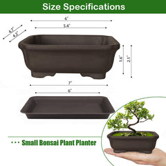 Close-up of MUZHI Zisha Bonsai Pot made from Yixing purple clay