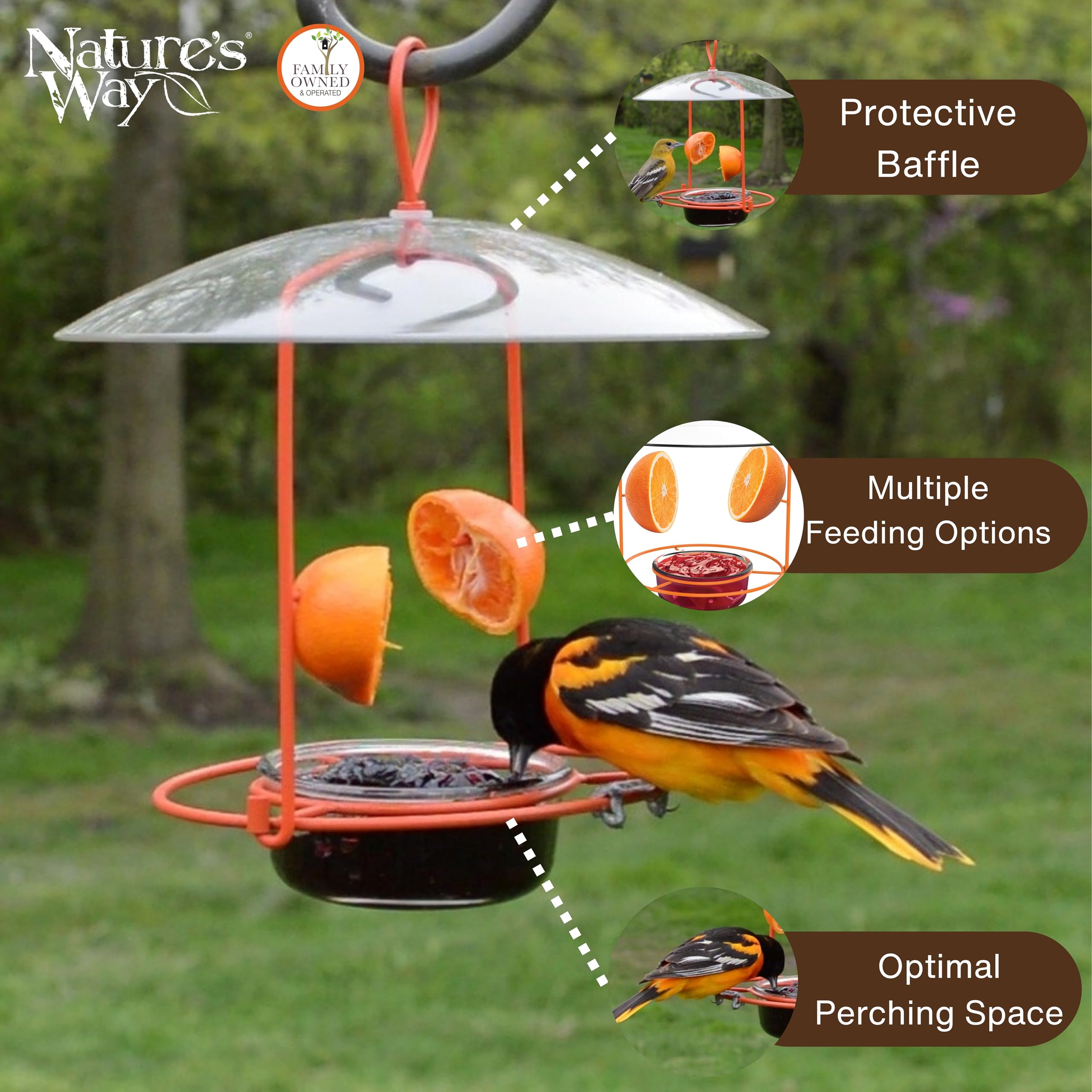 Close-up of NATURE'S WAY OFM1 feeder showing adjustable feeding ports
