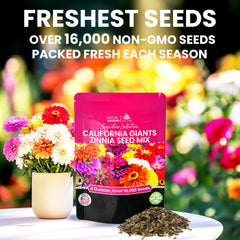 Close-up of NatureZ Edge Zinnia Seeds packaging