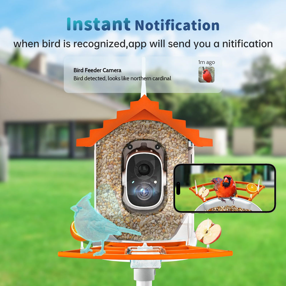 Close-up of NAVFS Bird Feeder Camera with 2K lens