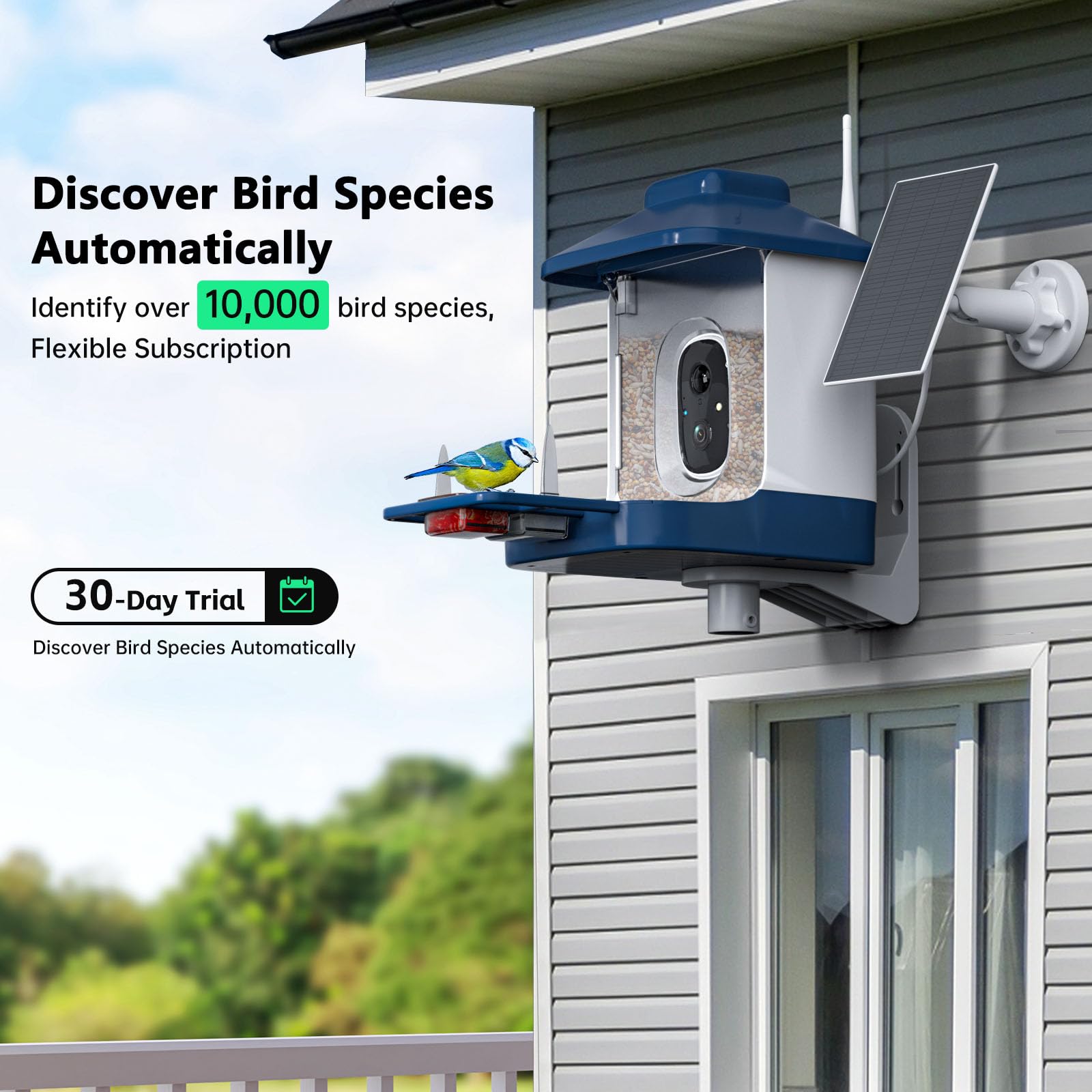 Close-up of NAVFS Bird Feeder's AI recognition technology