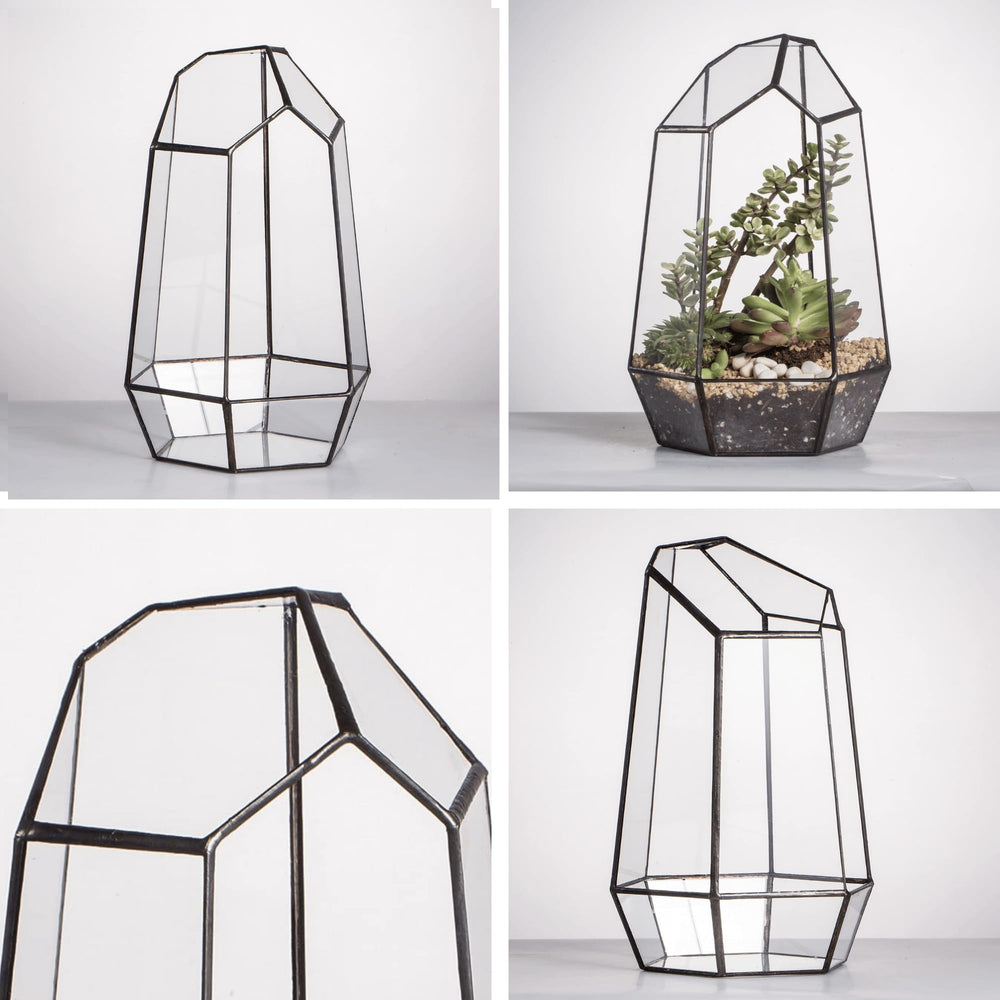Close-up of NCYP glass terrarium showing clear glass details