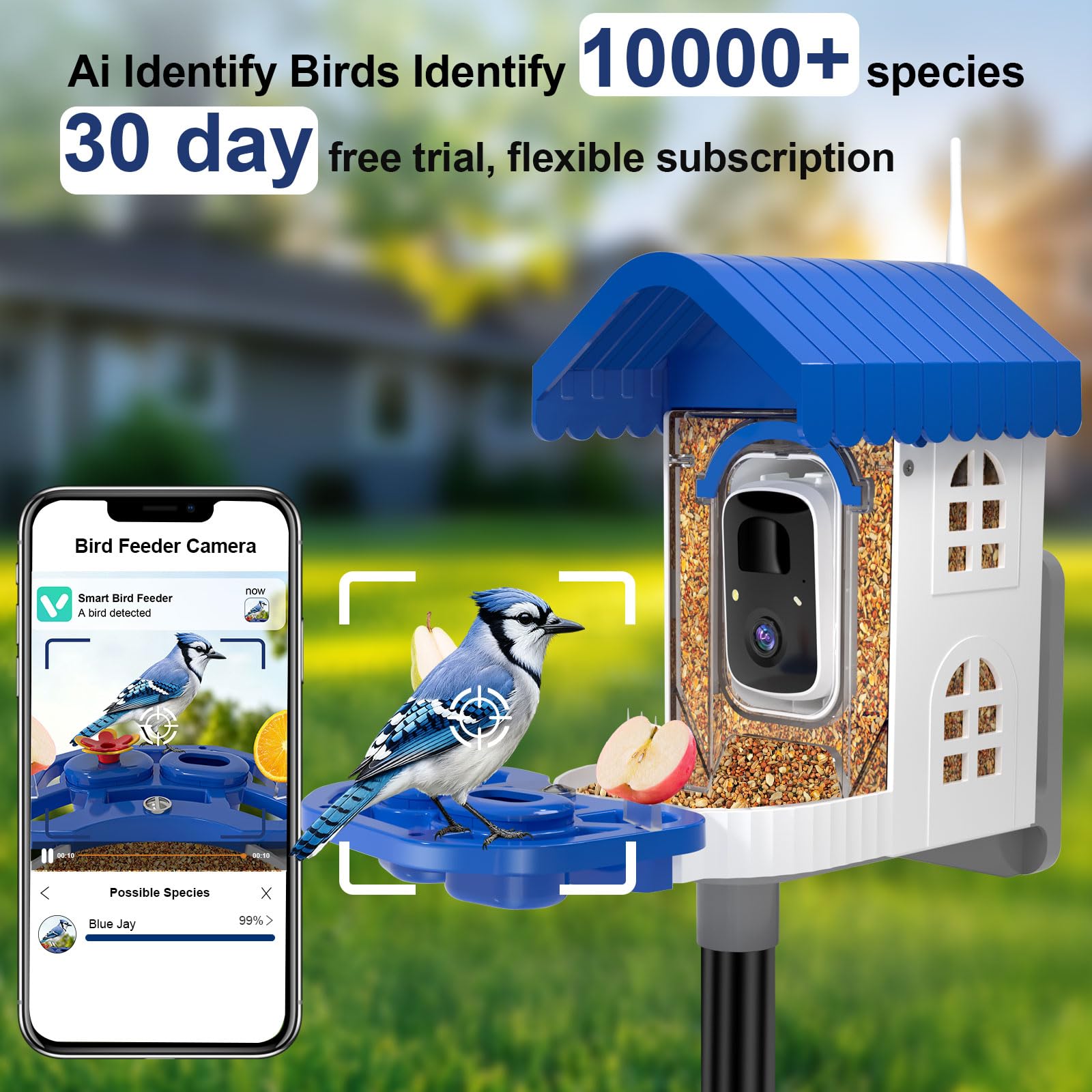 Close-up of NEEZUKAR Smart Bird Feeder blue colour