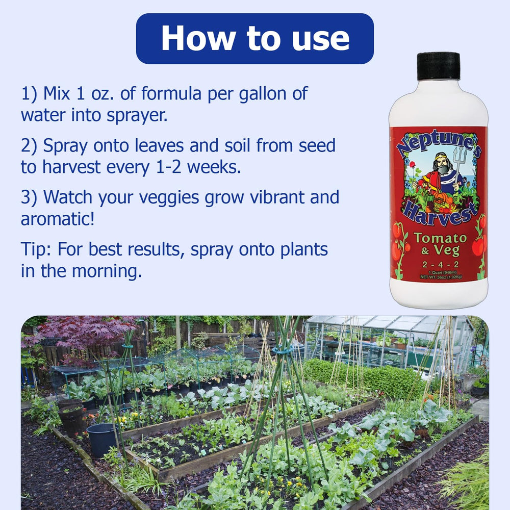 Close-up of Neptune's Harvest Organic Fertilizer liquid texture