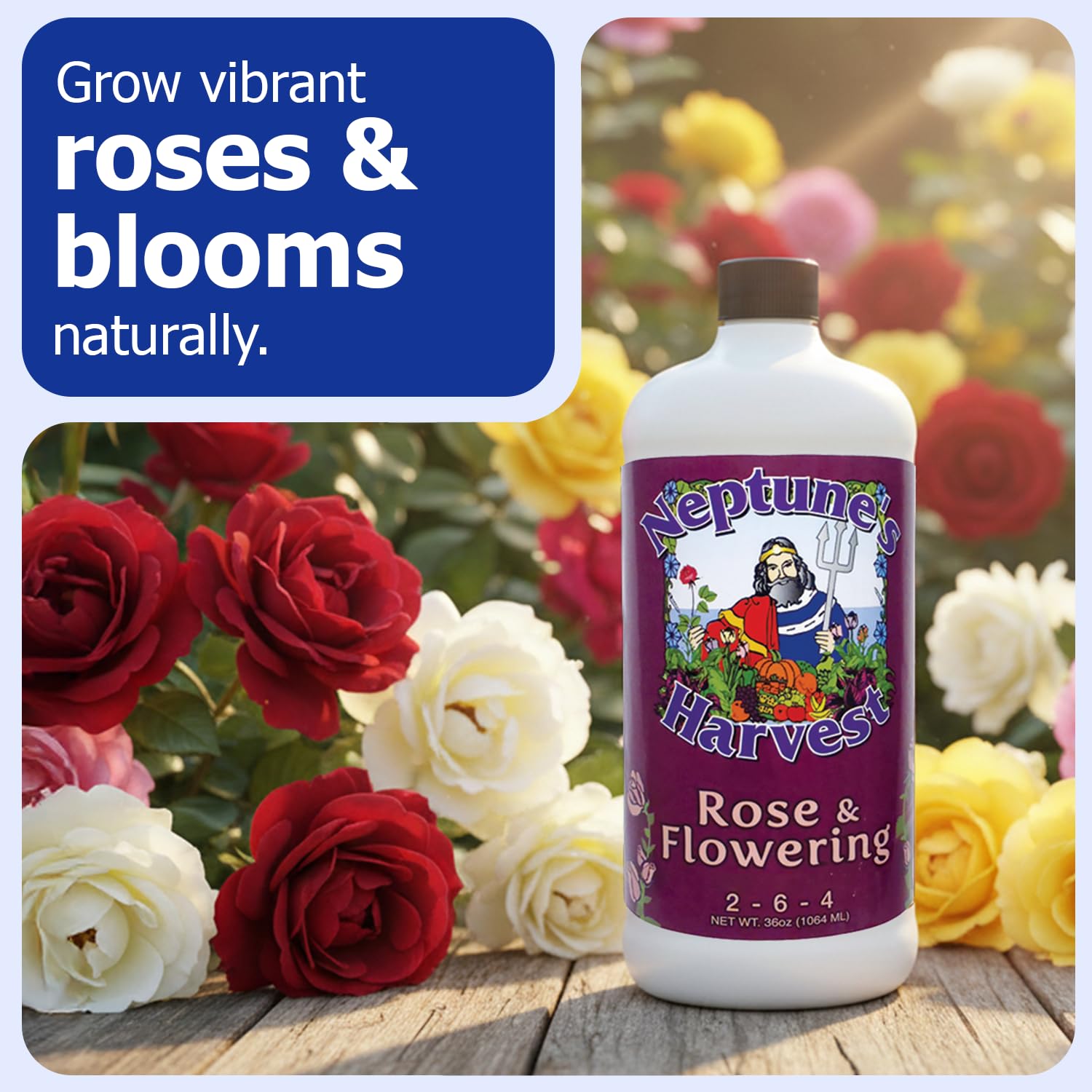 Close-up of Neptune's Harvest Rose & Flowering Fertilizer liquid inside the bottle