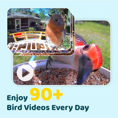 Close-up of NETVUE Smart Bird Feeder camera lens