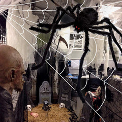 Close-up of OCATO spider web and spider setup