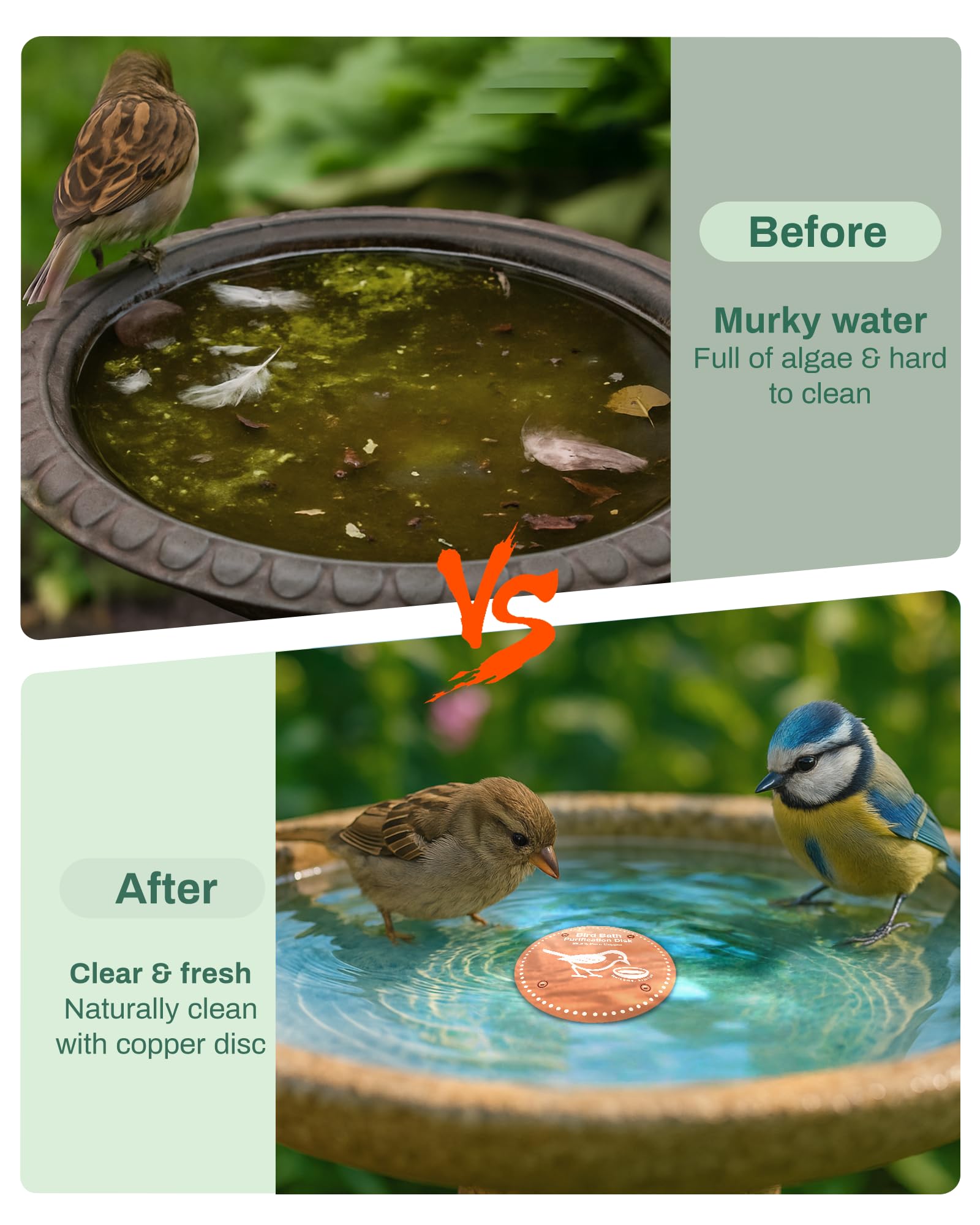Close-up of OICEME Bird Bath Disk showing pure copper texture
