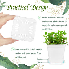 Close-up of OJYUDD 3-inch white plastic plant pots
