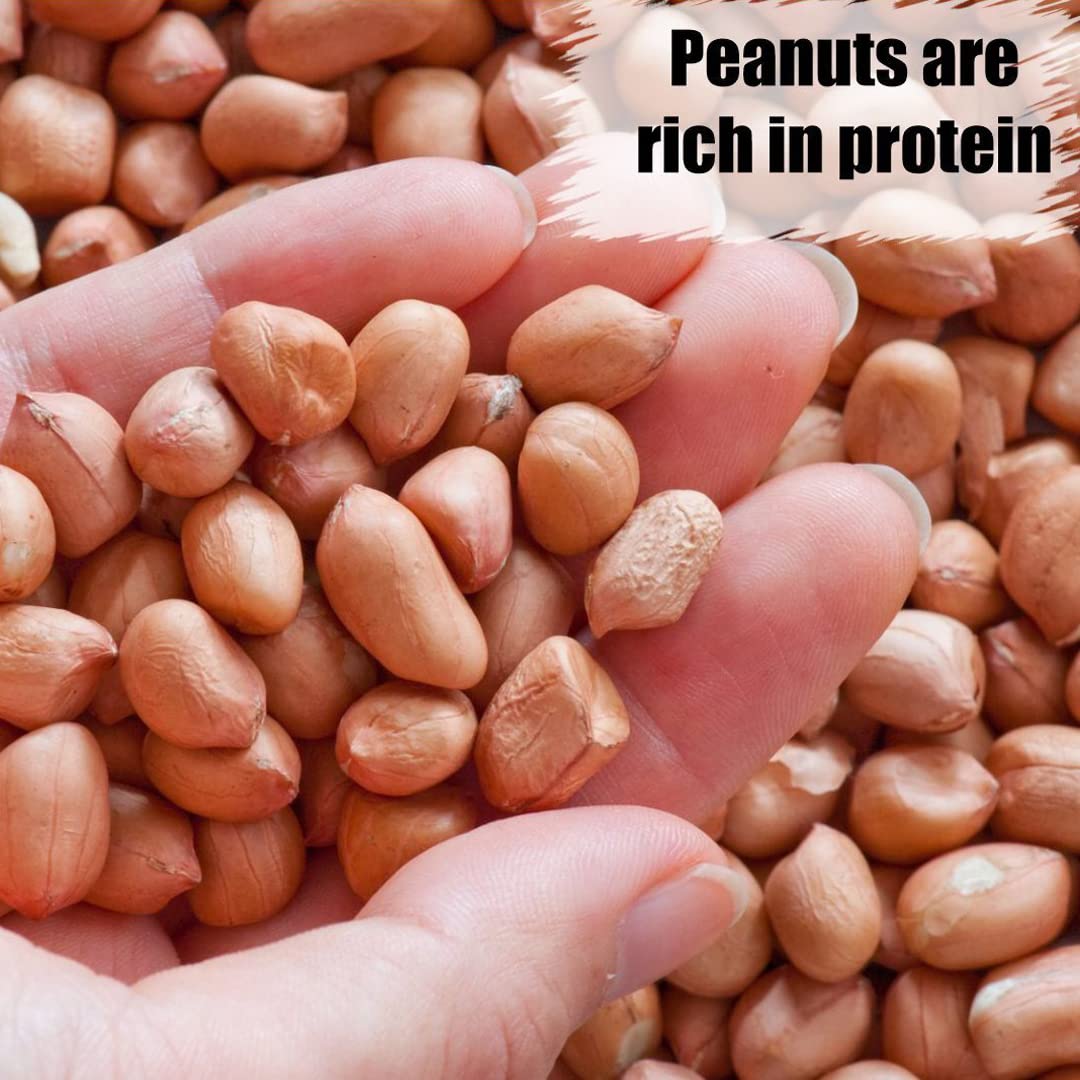 Close-up of Old Potters shelled peanuts showing texture