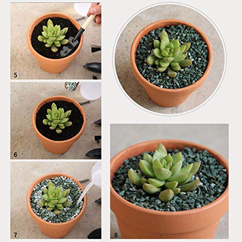Close-up of OLEEP terracotta pot drainage holes