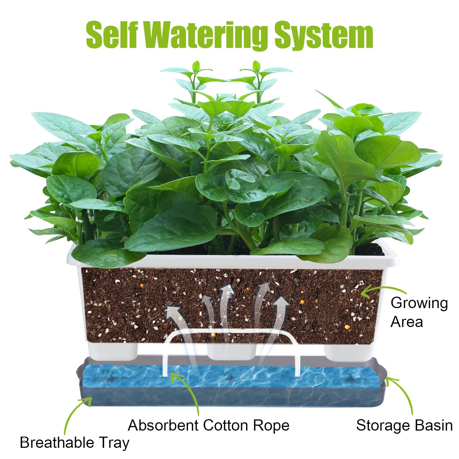 Close-up of Oliz planter with absorbent cotton rope and drainage holes