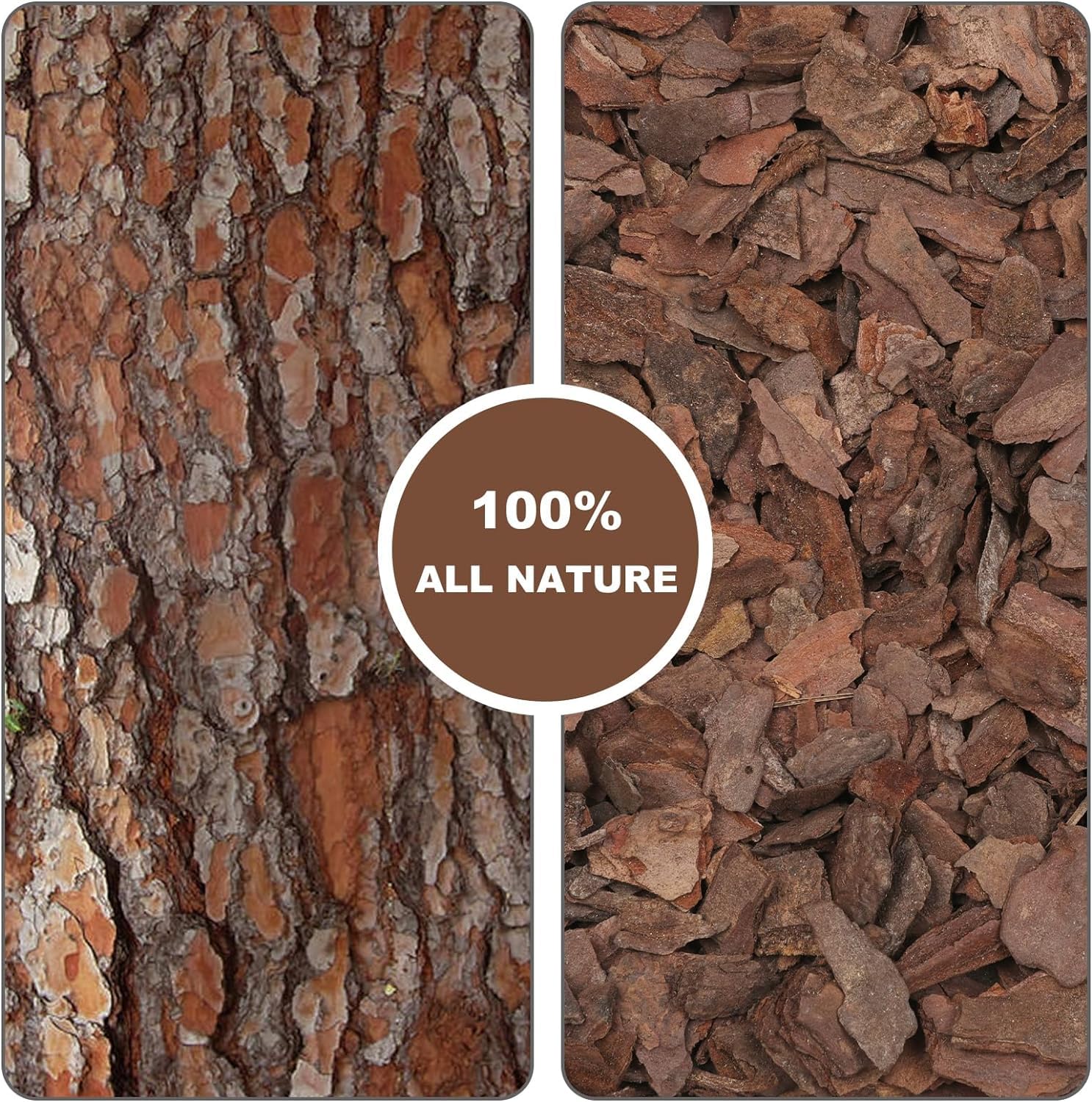 Close-up of Omitgoter Orchid Bark highlighting its texture