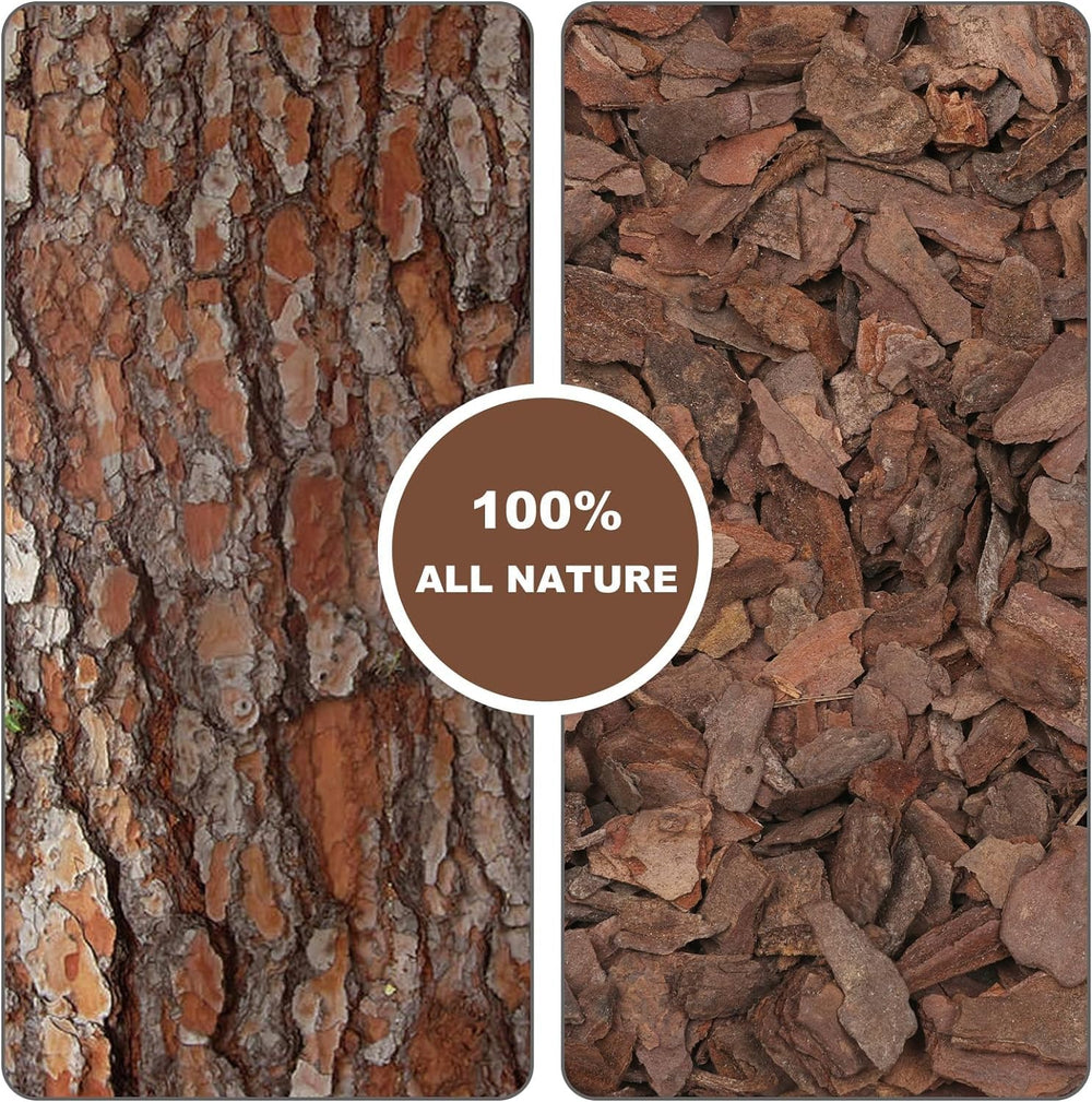 Close-up of Omitgoter Orchid Bark highlighting its texture