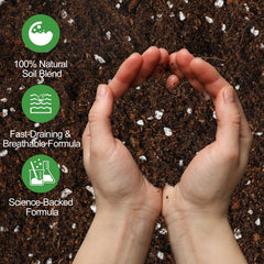 Close-up of Omitgoter Peace Lily Soil texture