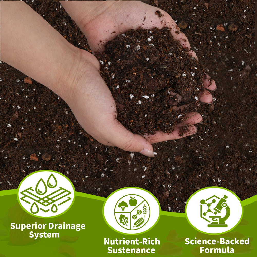 Close-up of Omitgoter Rose Soil texture and grain