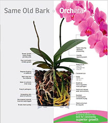 Close-up of Orchiata Orchid Bark texture and size